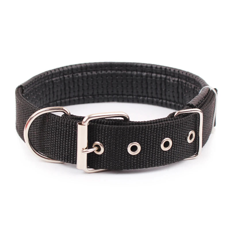Large Adjustable Hoop Dog Collar