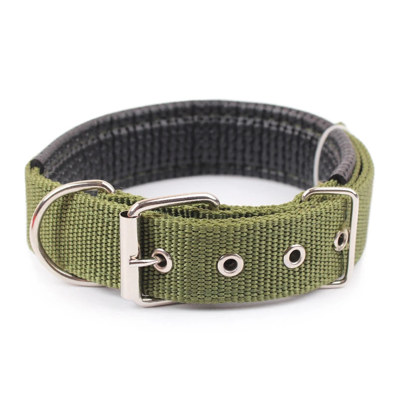 Large Adjustable Hoop Dog Collar