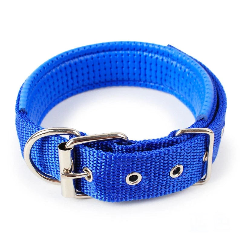 Large Adjustable Hoop Dog Collar