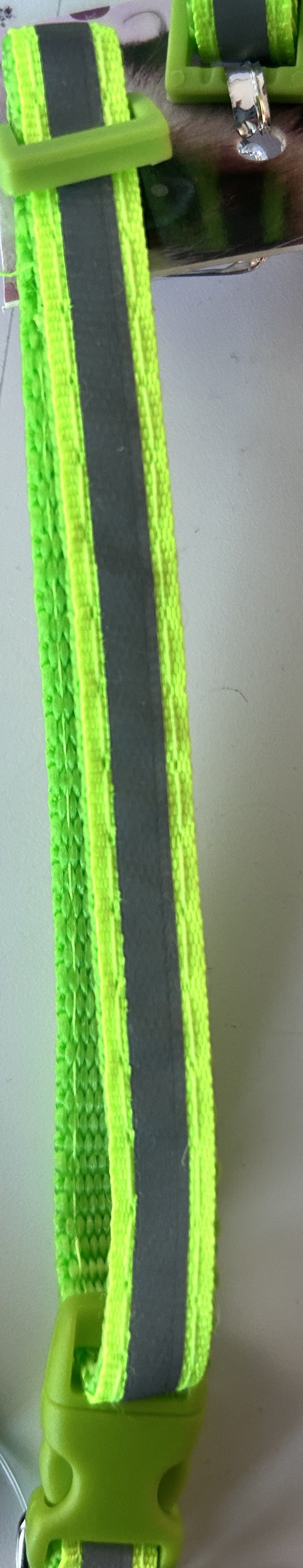 REFLEC CAT COLLAR WITH BELL