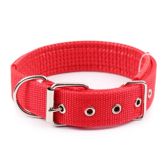 Large Adjustable Hoop Dog Collar